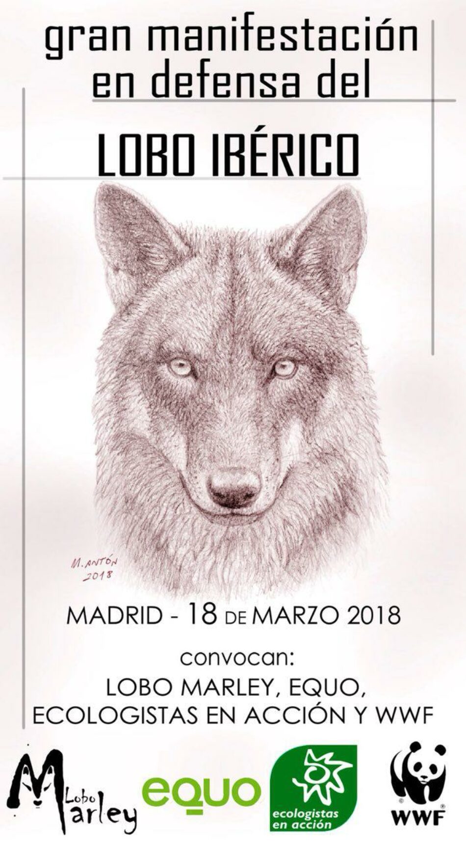 Madrid acogerá una nueva manifestación en defensa del lobo ibérico