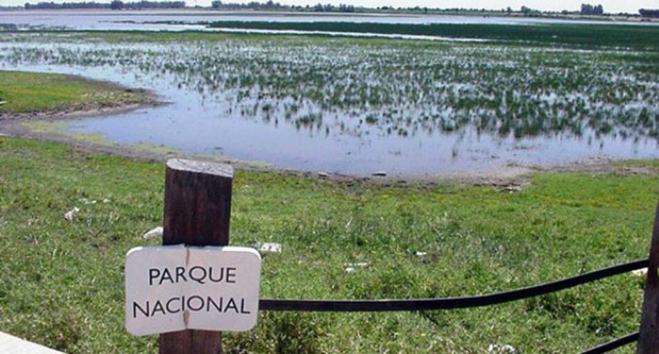 Ecologistas en Acción exige la paralización total del almacenamiento de gas natural en Doñana