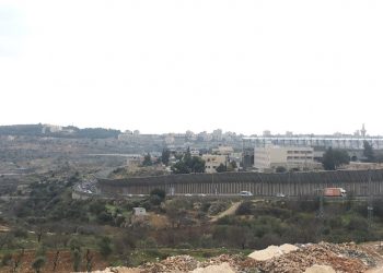 Pablo Bustinduy: “La violación de los derechos humanos en Palestina exige que España tome medidas urgentes”