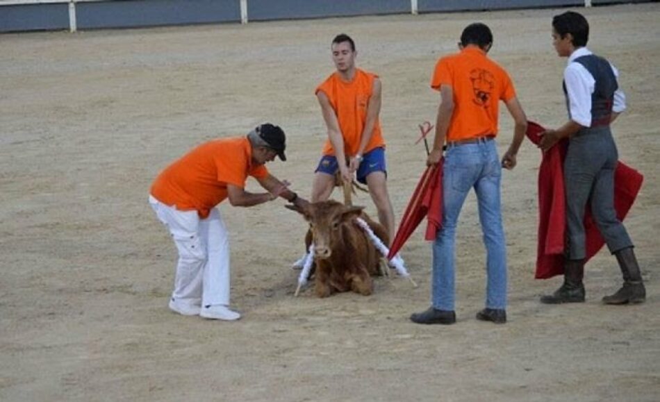 El Ayuntamiento de Madrid recibe fuerte apoyo en redes sociales por el cierre de El Batán