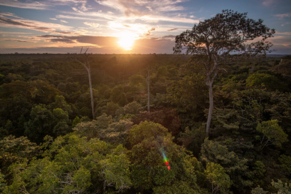 El Amazonas boliviano, hacia la deforestación