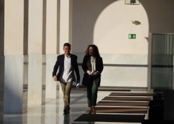 IU Andalucía critica “la trampa” del PSOE para no dar explicaciones en el Pleno sobre las presuntas irregularidades en la adjudicación del servicio de helicópteros de emergencias sanitarias