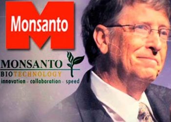 El ejército de EE.UU., Bill Gates y Monsanto tras los transgénicos para extinguir especies