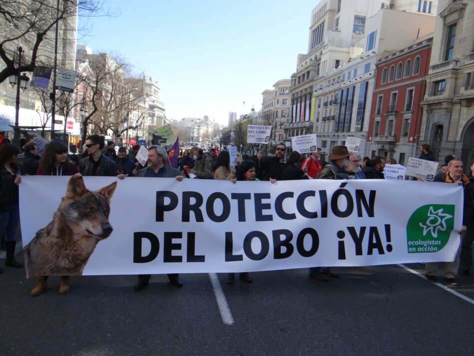 La sociedad vuelve a manifestarse para pedir que dejen de matar lobos