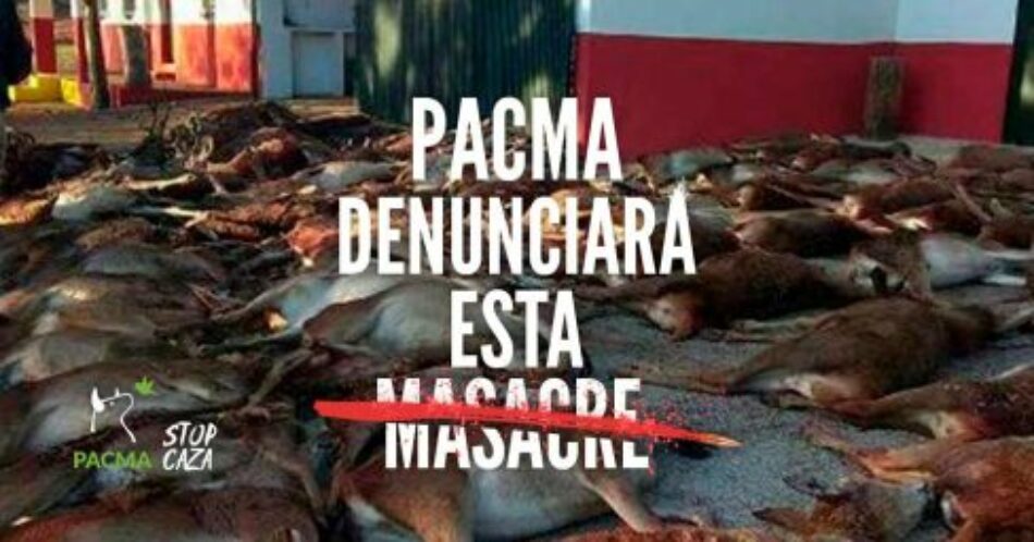PACMA denuncia a la Junta de Andalucía y a España ante la Comisión Europea por la masacre de ciervos y muflones de Huelva