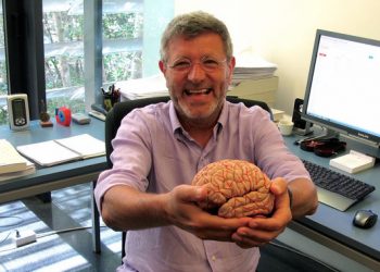 “Para averiguar cómo funciona el cerebro se necesita un esfuerzo masivo y global”