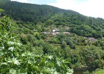 En Marea chama a poñer en marcha un plan de desenvolvemento socioeconómico integral da Ribeira Sacra