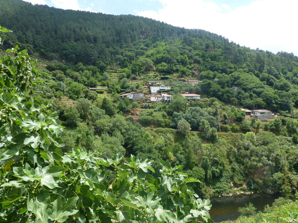 En Marea chama a poñer en marcha un plan de desenvolvemento socioeconómico integral da Ribeira Sacra