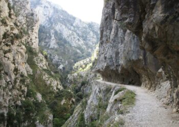 Un delito ambiental que queda sin castigo en el Parque de Picos de Europa