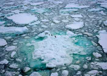 Comienza una expedición histórica para reclamar la creación de la mayor área protegida del mundo: el Santuario Antártico
