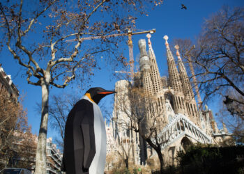 Movilización en 16 ciudades españolas para pedir la protección del océano Antártico este sábado