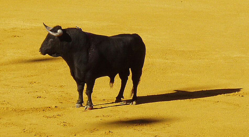 El partido ecologista EQUO insta a la Junta de Andalucía a regular la exposición de la infancia a la tauromaquia