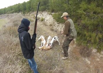 Las fundaciones Libera y Franz Weber denuncian que la Xunta del PP destinó más de 13.000 euros a la caza del zorro en Galicia en los dos últimos años