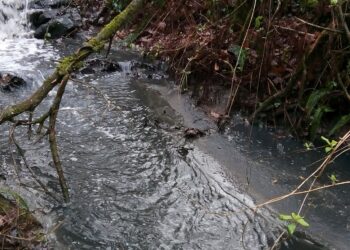 Aldea Viva le pide a Xunta la revisión de la autorización ambiental de la empresa TEN en la mina de Touro