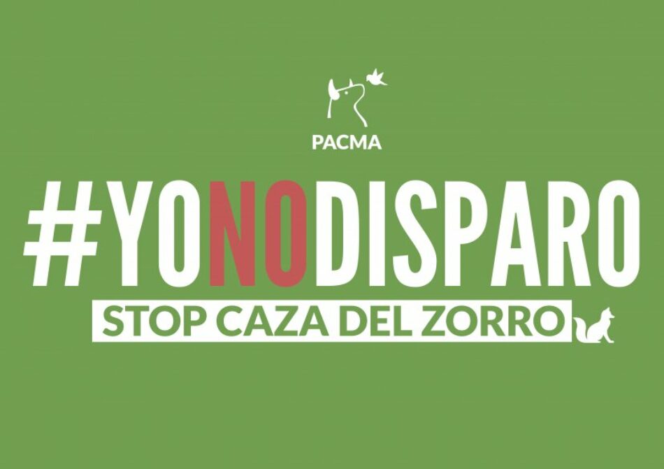 [VÍDEO]: PACMA documenta la polémica caza de zorros en Galicia
