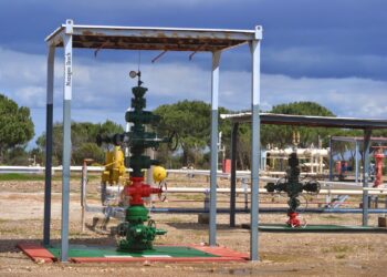 Salvemos Doñana lamenta la falta de compromiso con Doñana por parte del Gobierno y que aún no haya cancelado cautelarmente el proyecto Marismas de almacenamiento de gas