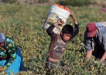 México. 2 millones 500 mil niños y niñas trabajan en situación de esclavitud