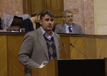 Rodríguez acusa a PSOE, PP y C´s de presentarse «como cómplices de cada uno de los desahucios que se produzcan en Andalucía por falta de información» por el veto a la Ley de Titulizaciones de Podemos