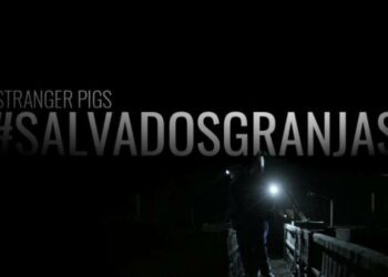 El veterinario de Salvados habla de nuevo