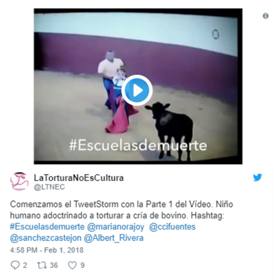 La Tortura No Es Cultura revela vídeo de niño matando becerro y  exige que los menores no puedan asistir a clases de tauromaquia como dicta la ONU