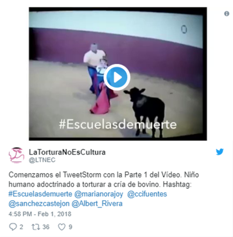 La Tortura No Es Cultura revela vídeo de niño matando becerro y exige que los menores no puedan asistir a clases de tauromaquia como dicta la ONU