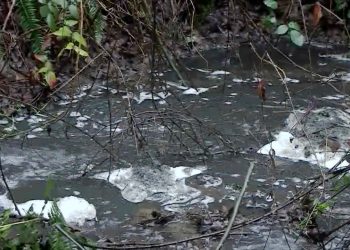 El desbordamiento de una de las balsas de la antigua mina de Touro agrava el desastre ambiental del río Brandelos