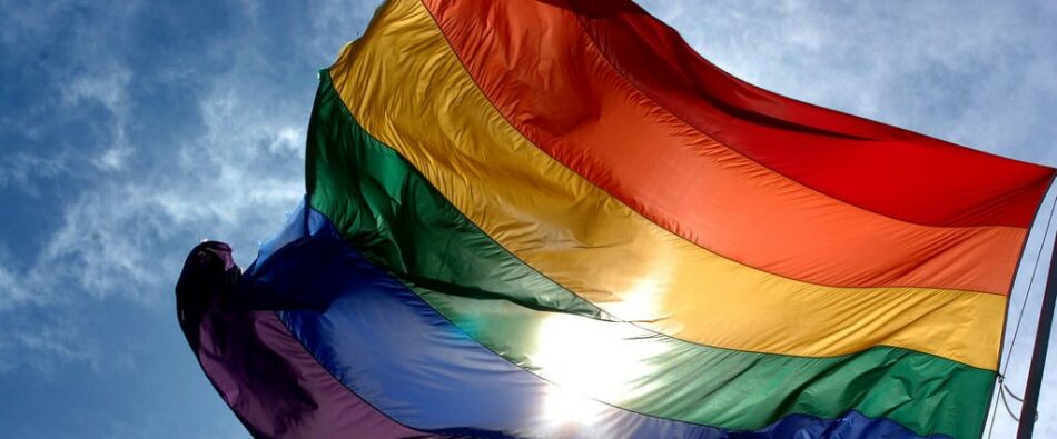 ALEAS-IU llama a secundar la Huelga Feminista del 8M “visibilizando la discriminación que sufren las mujeres lesbianas, bisexuales y trans”