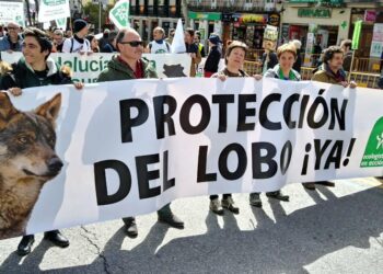 Miles de personas llegadas de todos los puntos del estado se manifiestan en Madrid en defensa del lobo ibérico