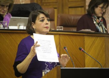 IU anima a Susana Díaz a aprovechar su cita con las convocantes del 8M para que les explique por qué aprueba la Ley contra la Violencia de Género sin presupuesto