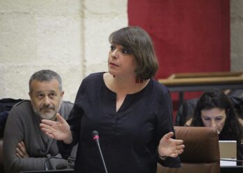 IU desgrana la inacción de Susana Díaz en materia de igualdad con un decálogo de promesas incumplidas