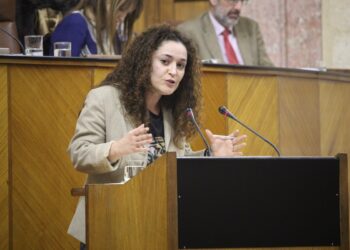 Nieto achaca el debilitamiento de las pensiones a las medidas de PP y PSOE y pide coherencia a Cs