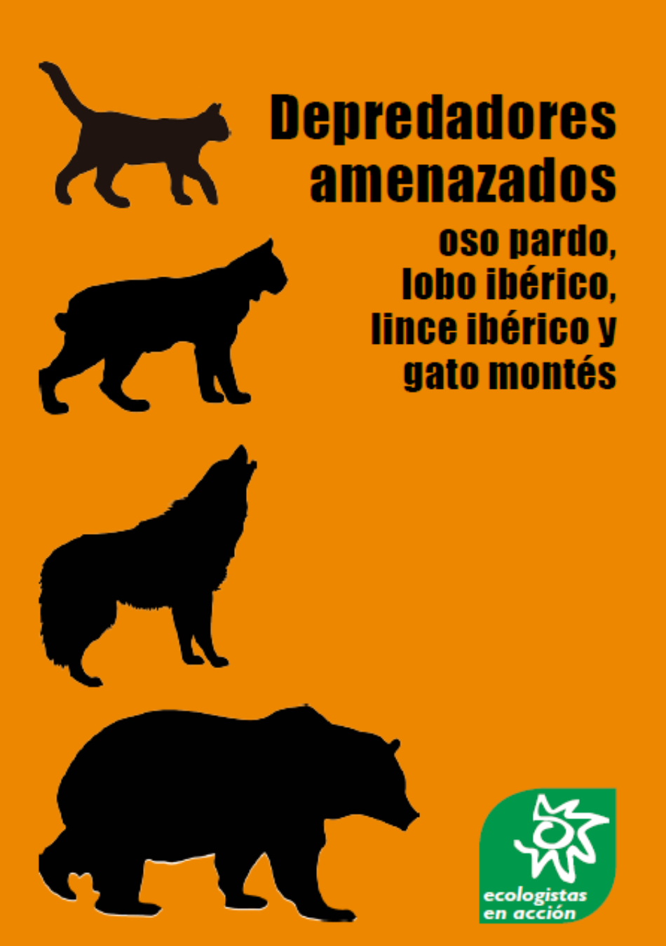 Ecologistas en Acción reclama mejoras en la conservación del oso pardo, el lince ibérico, el lobo ibérico y el gato montés