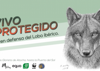 Miles de personas volverán a exigir la protección del lobo en Madrid el 18M