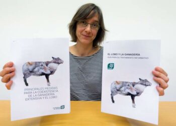 Ecologistas en Acción recurrirá el protocolo de regulación del lobo en Picos de Europa si se llega a aprobar