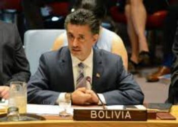 Embajador boliviano en la ONU: La retórica de EEUU pone en peligro la estabilidad global