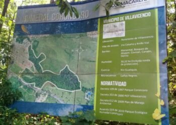 Colombia. Comunidades crean red para la defensa y protección de los humedales