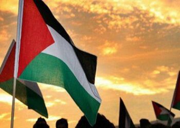 Gran Marcha del Retorno a Palestina. 5º viernes. Viernes de la Juventud Rebelde