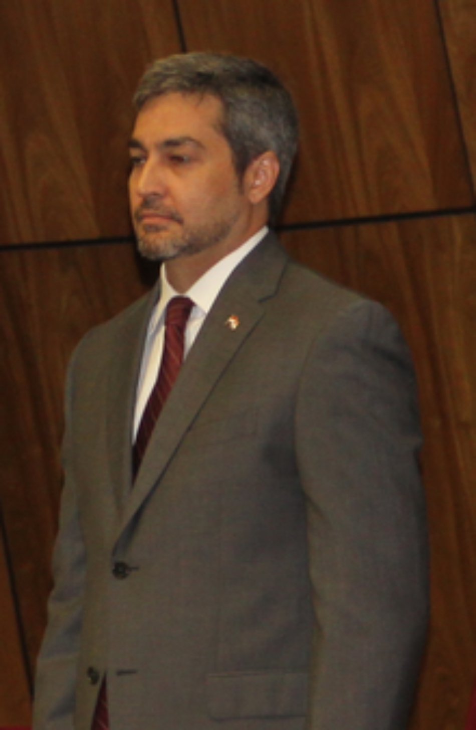 Sobre la apropiación ilegítima de tierras del Estado por parte de la familia Abdo Benitez (candidato presidencial del Partido Colorado en Paraguay)