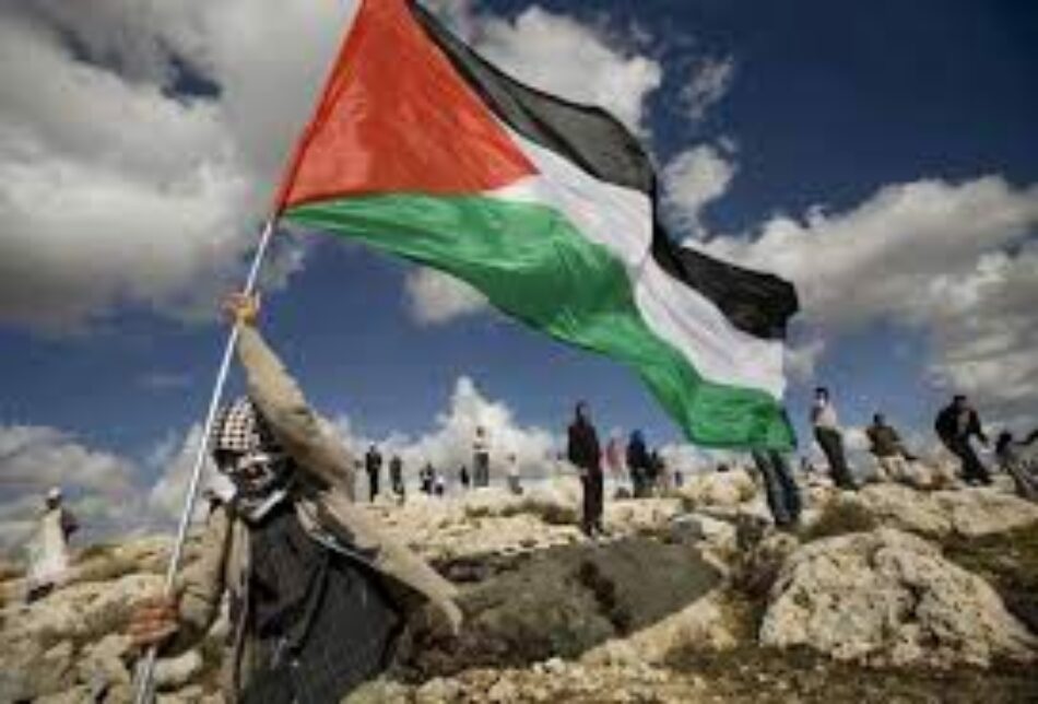 Palestina. Partición, desposeimiento y fragmentación