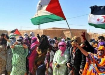 Francia apoya intervención militar en territorio del Sahara Occidental