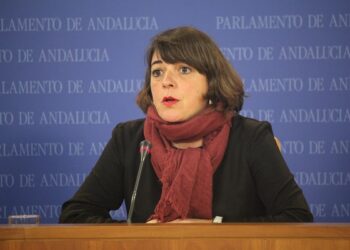 IU saca adelante una PNL para que la Junta de Andalucía no ponga trabas a la vecindad administrativa para acceder a la Renta Mínima