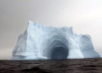 Greenpeace, Javier Bardem y Álvaro Longoria presentan un mini documental que recoge la belleza del océano Antártico