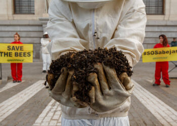 Greenpeace aplaude la decisión de la UE de prohibir tres insecticidas peligrosos para las abejas