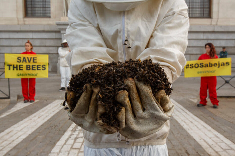 Greenpeace aplaude la decisión de la UE de prohibir tres insecticidas peligrosos para las abejas
