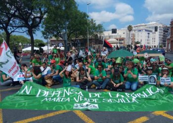 Comunicado de respuesta al establecimiento de un 100% de servicios mínimos por parte de la Junta de Andalucía en la huelga de profesorado laboral de la Universidad de Sevilla