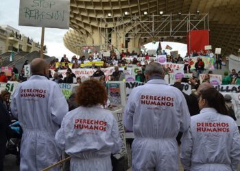 APDHA Sevilla contenta y agradecida por el reconocimiento del título “Placa de Honor de la Provincia”