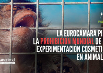 El Parlamento Europeo propone prohibir en todo el mundo la experimentación en animales para productos cosméticos