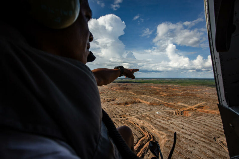 Aceite de palma: el gobierno de Indonesia se pasea por Europa mientras continúa la deforestación