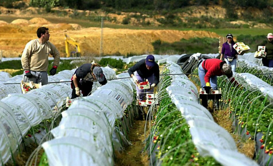 IU pregunta al Gobierno en el Congreso si investiga ya la “explotación laboral y sexual de trabajadoras inmigrantes en el campo onubense”