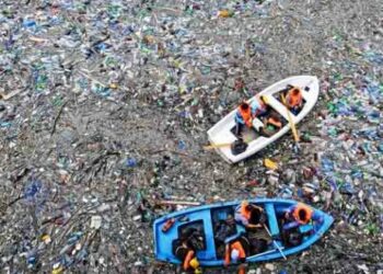 Ecologistas en Acción considera positiva pero insuficiente la propuesta de Directiva europea para la reducción de plásticos